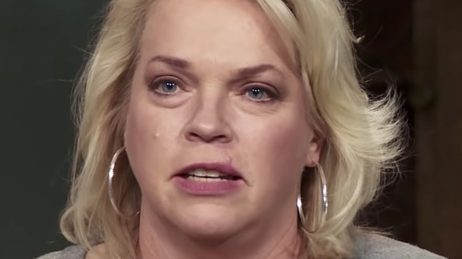 Why Is Sister Wives' Janelle Brown Living In An RV?