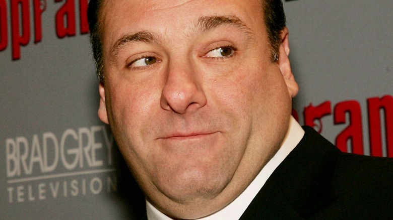 James Gandolfini at an event