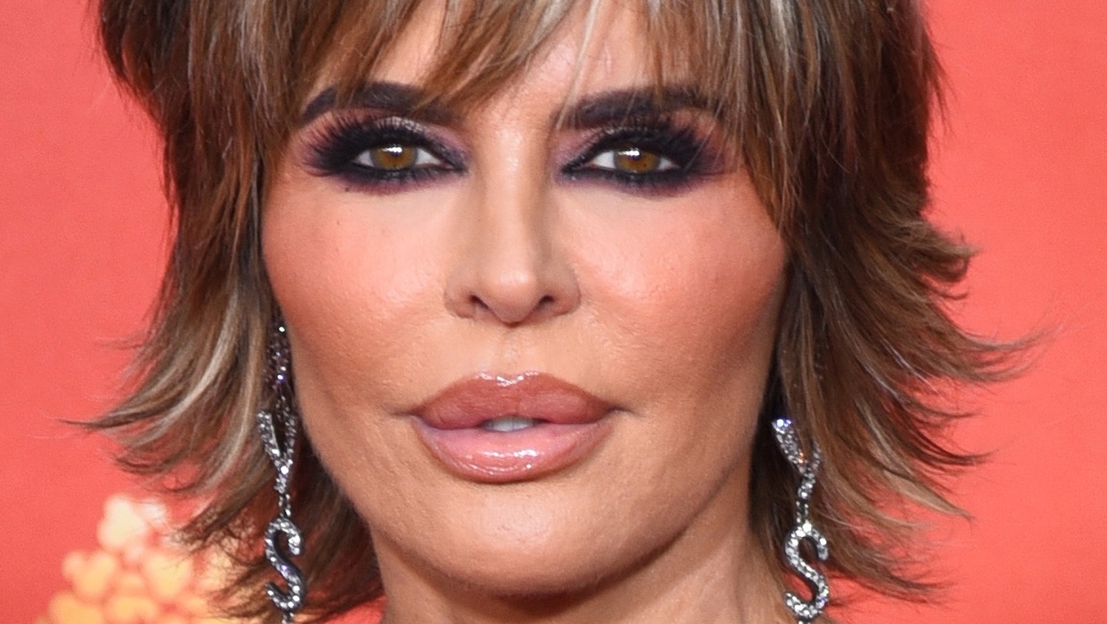 Why Lisa Rinna And Nicollette Sheridan Don't Get Along
