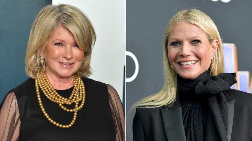 Why Martha Stewart Isn't A Fan Of Gwyneth Paltrow