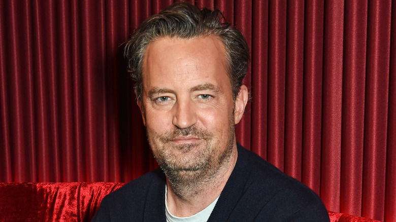 Matthew Perry poses at an event