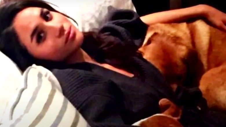 Meghan Markle posing with dogs