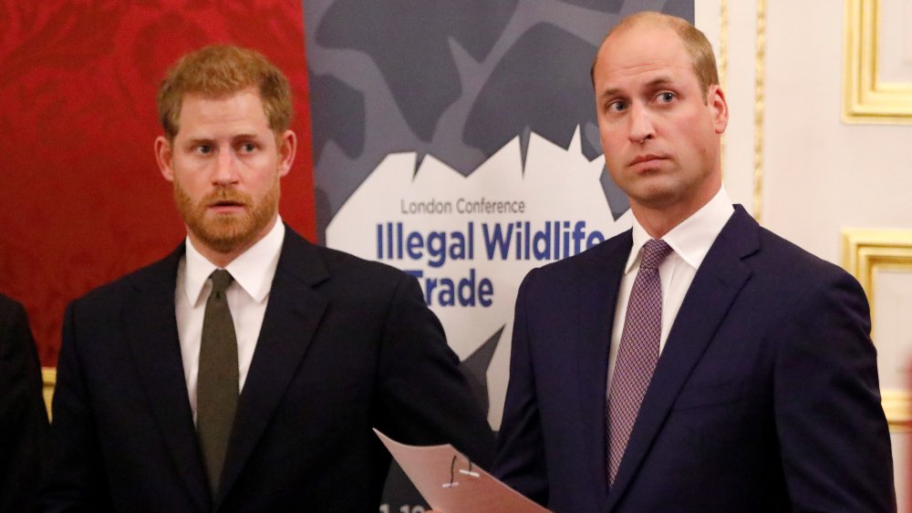 Prince Harry and William