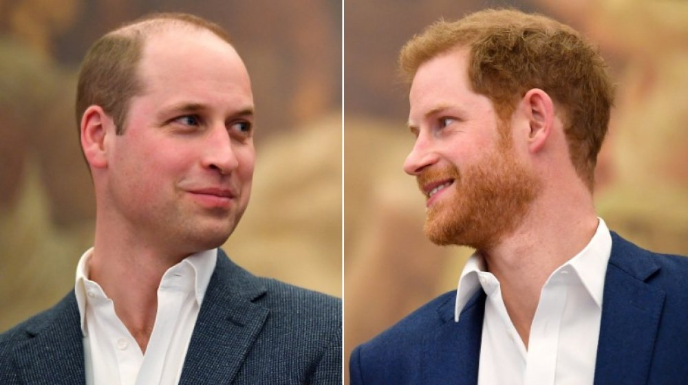 Prince William, Prince Harry