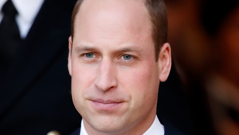 Prince William, posing