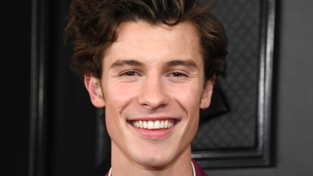 Shawn Mendes posing on the red carpet at an event