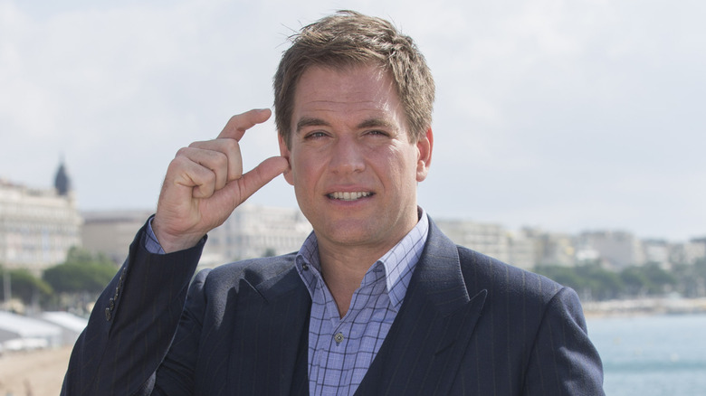 Michael Weatherly standing