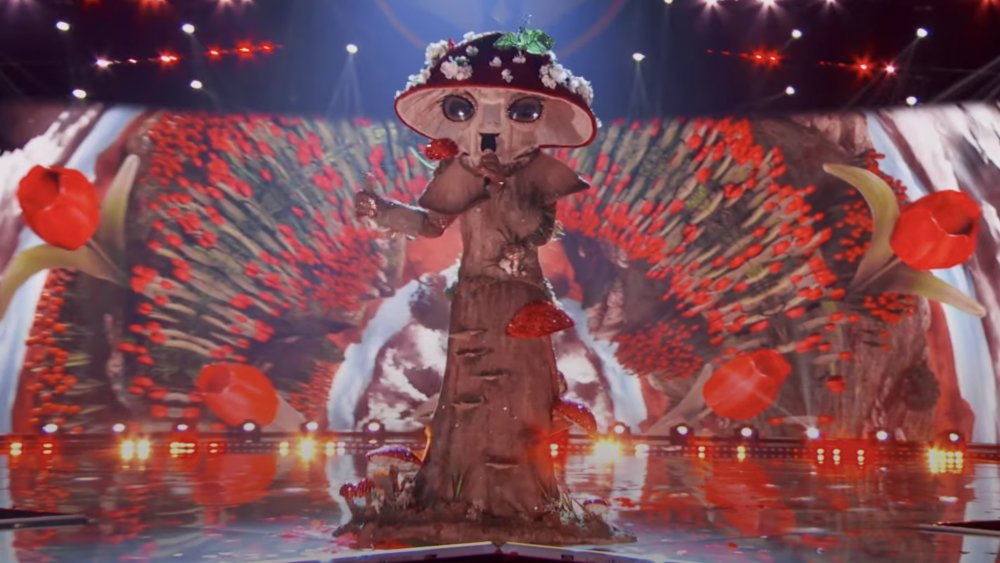 Mushroom on The Masked Singer