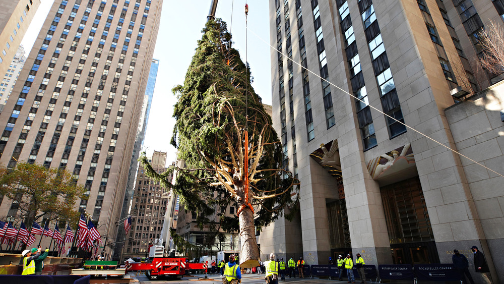 Rockefeller Center Christmas Tree