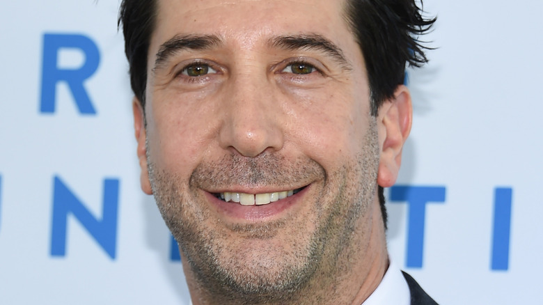 David Schwimmer smile 