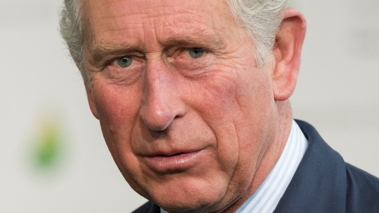 Prince Charles at event 