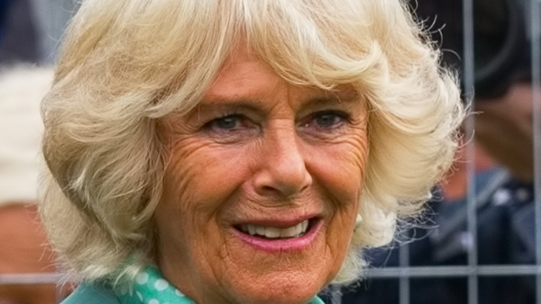 Camilla Parker Bowles strange expression