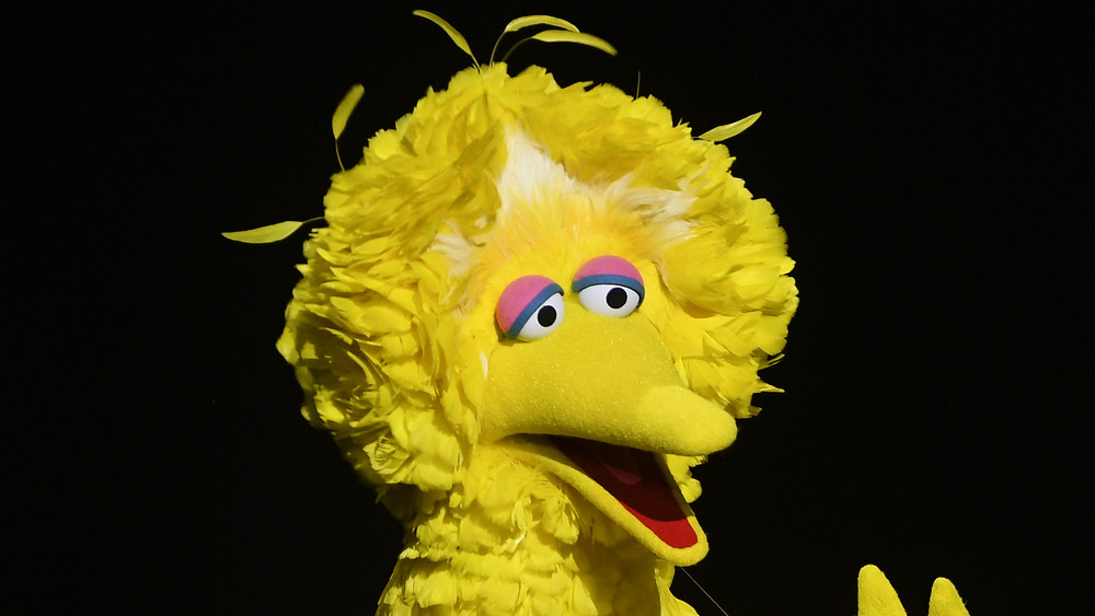 Big Bird performing on stage