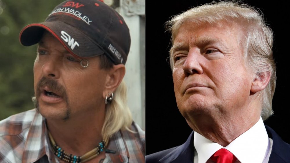 Joe Exotic, Donald Trump