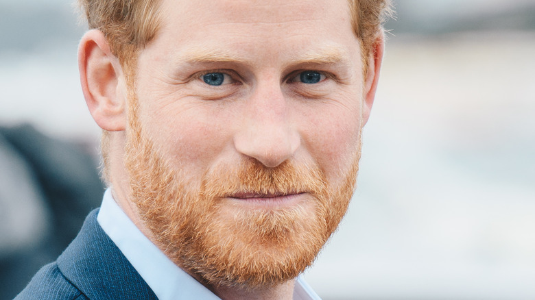 Prince Harry red beard