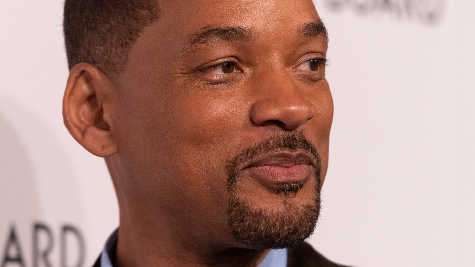 Will Smith Admits His Real Concern After His Controversial Oscars Slap – Nicki Swift