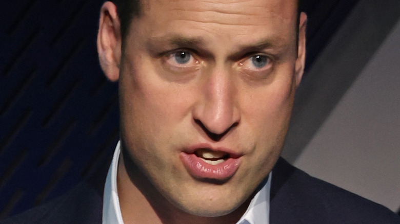 Prince William talking