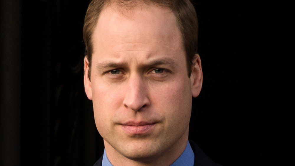 Prince William, posing