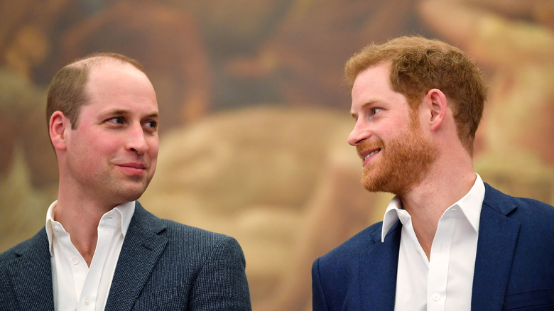 Prince William and Prince Harry talking