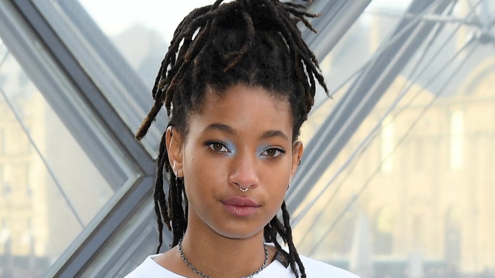 Willow Smith Should Have Never Recorded 'Whip My Hair.' Here's Why