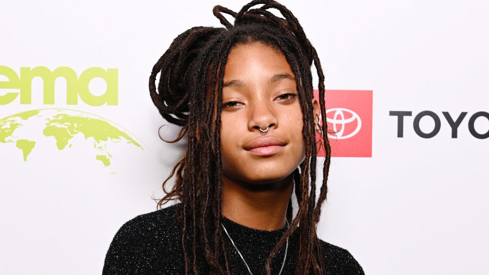 Willow Smith Should Have Never Recorded 'Whip My Hair.' Here's Why
