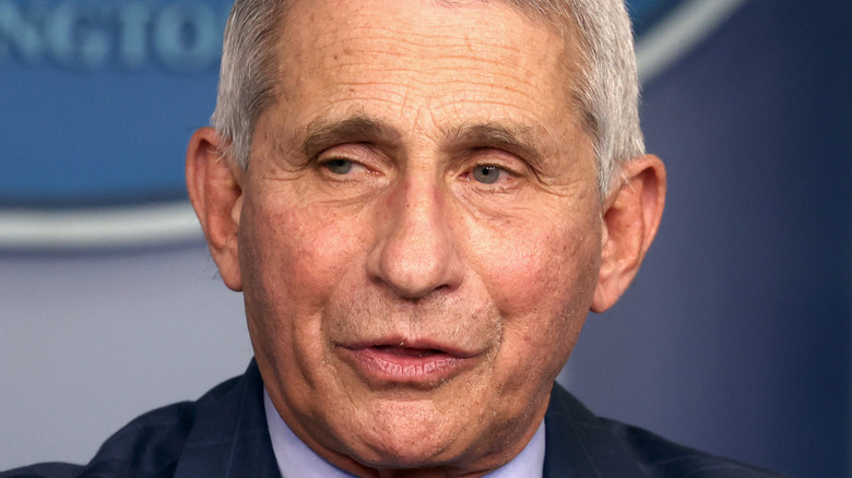 Dr. Anthony Fauci during a press briefing