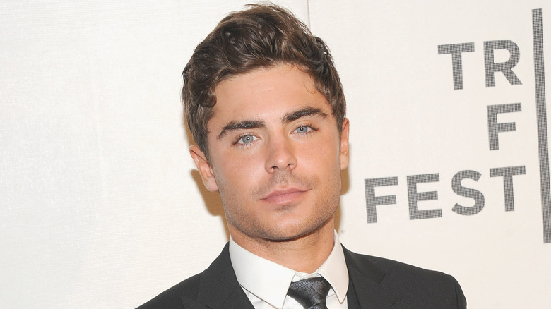 Zac Efron posing on the red carpet