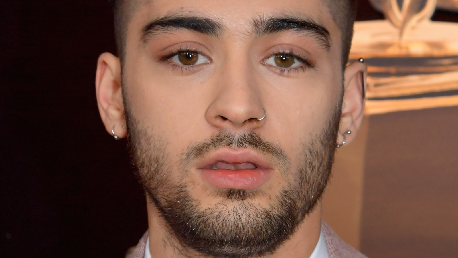 Zayn Malik's Latest Video Has One Direction Fans Melting Down