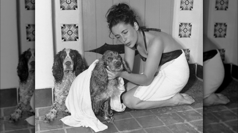 Elizabeth Taylor washing her dogs as a teenager.