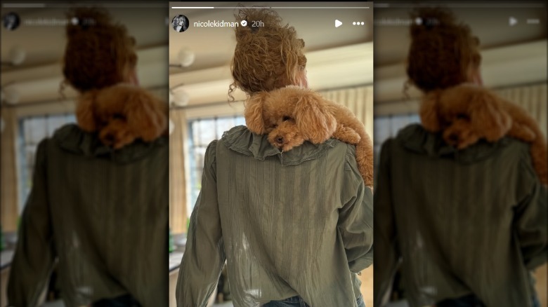 Nicole Kidman holding her dog