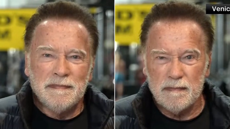 Arnold Schwarzenegger