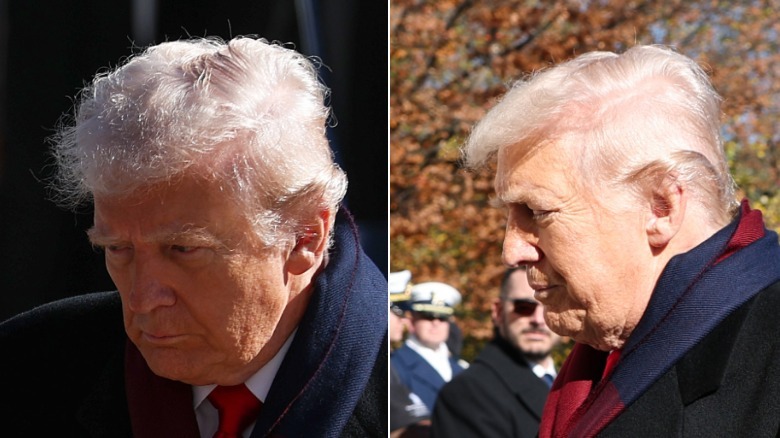 Donald Trump at Veteran's Day ceremony